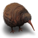 Kiwi - Flightless Bird icon